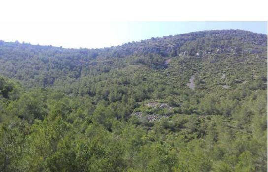 Promoción en Pre. Palava, Bancalet De Enrique, Ribamar, Ameler, S/n, Alcala De Xivert, Castellón
