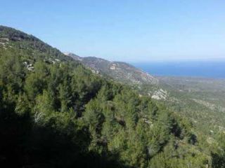 Promoción en Pre. Palava, Bancalet De Enrique, Ribamar, Ameler, S/n, Alcala De Xivert, Castellón 3