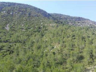 Promoción en Pre. Palava, Bancalet De Enrique, Ribamar, Ameler, S/n, Alcala De Xivert, Castellón 6