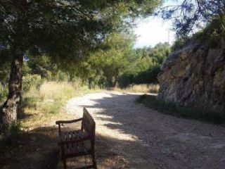Promoción en Pre. Palava, Bancalet De Enrique, Ribamar, Ameler, S/n, Alcala De Xivert, Castellón 8