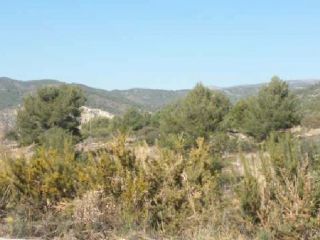 Urbano para construir en venta en Travesia I, Poligono Industrial 