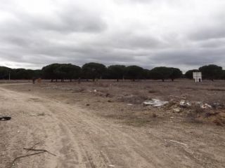 Rústico en venta en C. Puente Herrera, S/n, Laguna De Duero, Valladolid 2