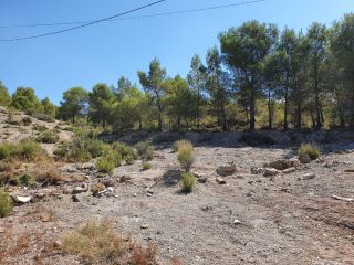Promoción en C. Cabezo Gordo, Poligono 1, 23, Sax, Alicante 8
