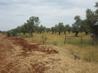 Promoción de suelos en venta en sitio urraco... en la provincia de Huelva 9