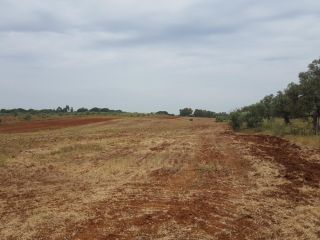 Promoción de suelos en venta en sitio urraco... en la provincia de Huelva 10