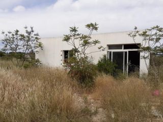 Partida Valverde bajo 57B, 0 4