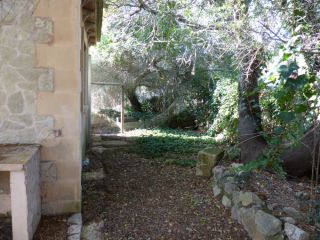 Rústico en venta en Pre. Diseminado San Roig, 1025t, Algaida, Illes Balears 9