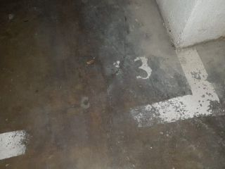 Palamos 4