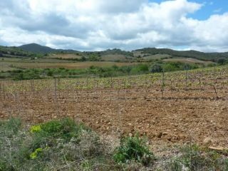 Promoción de suelos en venta en pre. paraje sangorrina, pol. 21 en la provincia de Zaragoza 3