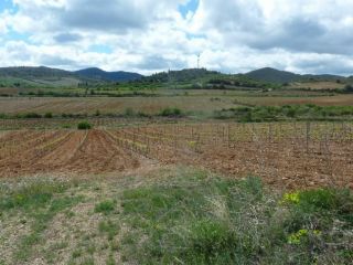 Promoción de suelos en venta en pre. paraje sangorrina, pol. 21 en la provincia de Zaragoza 4