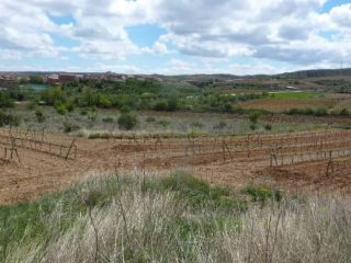 Promoción de suelos en venta en pre. paraje sangorrina, pol. 21 en la provincia de Zaragoza 5