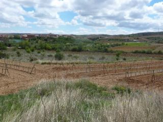 Promoción en Pre. Paraje Sangorrina, Pol. 21, Paniza, Zaragoza 5