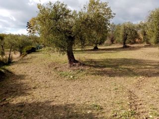 Promoción de suelos en venta en pre. montefrange y molinilla- poligono 5 en la provincia de Sevilla 5