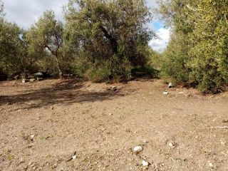 Promoción de suelos en venta en pre. montefrange y molinilla- poligono 5 en la provincia de Sevilla 6