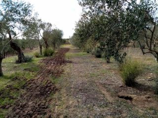 Promoción de suelos en venta en pre. montefrange y molinilla- poligono 5 en la provincia de Sevilla 9