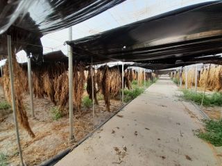 Rústico en venta en Pre. Sorvilan Y Albuñol, Sn, Albuñol, Granada 8