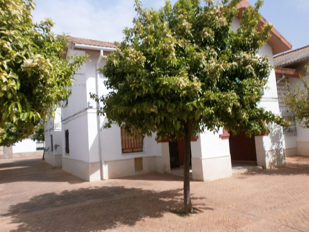 Piso en venta en C. Maestro Eloy Viro, 1, Palma Del Rio, Córdoba