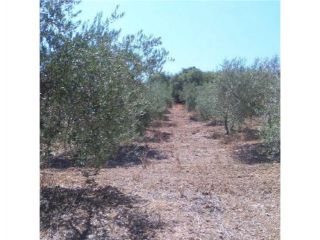 Promoción de terrenos en venta en dehesa arana en la provincia de Sevilla 2