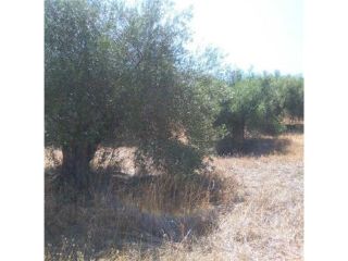Promoción de terrenos en venta en dehesa arana en la provincia de Sevilla 3