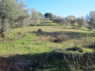 Promoción de terrenos en venta en pre. arroyo del ciervo, los molinillos y prado la zorra en la provincia de Málaga 3