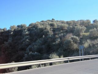 Promoción de terrenos en venta en pre. arroyo del ciervo, los molinillos y prado la zorra en la provincia de Málaga 5