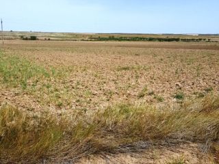 Promoción de terrenos en venta en carretera del ebro en la provincia de Navarra 1