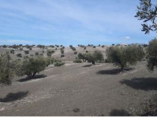 Terreno en venta en pre. cerro clamor, 16, Alameda De La Sagra, Toledo 3