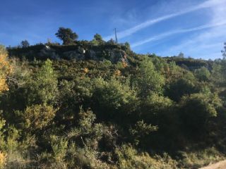 Terreno Rustico en Ptda L`Arboçar, Querol (Tarragona) 8