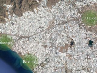 Suelo urbanizable en El Ejido - Almería - 5