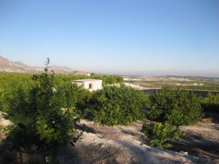 Suelos situados en Abanilla, Murcia 6