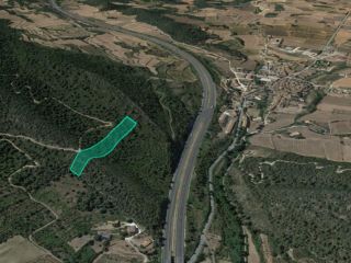 Suelo rústico en Cabra del Camp - Tarragona 3