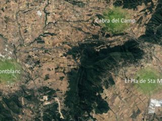 Suelo rústico en Cabra del Camp - Tarragona 5