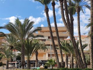 Atico en venta en Arenales Del Sol, Los de 165  m²