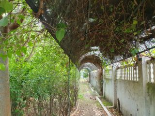 Casa en venta en C. La Paloma, 12, Lominchar, Toledo 22