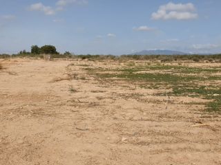 Rústico en venta en Pre. Los Martinez Del Puerto Y Gea Y Truyols, S/n, Gea Y Truyols, Murcia 4