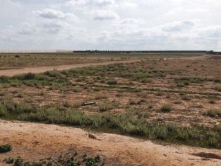 Rústico en venta en Pre. Los Martinez Del Puerto Y Gea Y Truyols, S/n, Gea Y Truyols, Murcia 5