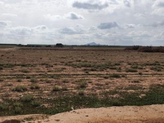 Rústico en venta en Pre. Los Martinez Del Puerto Y Gea Y Truyols, S/n, Gea Y Truyols, Murcia 6