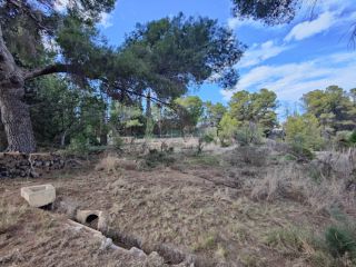 Promoción de terrenos en venta en pre. foyes blanques, s/n en la provincia de Alicante 1