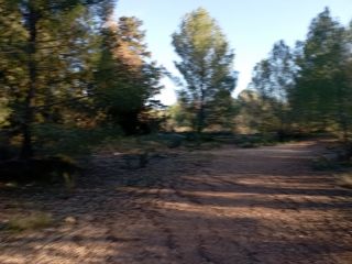 SUELO en Pla de Terol en Polop 3