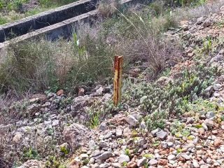 SUELO en Pla de Terol en Polop 7