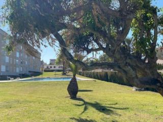 **Piso 1ª linea en Venta en Playa Punta Prima, Torrevieja - Edificio NAUTILUS** 20