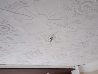 Vivienda en Cocentaina_Av. Passeig del Comtat, 48-2ºB 37