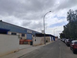 NAVE en Agost  13